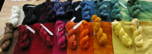 Natural Dyeing for a Painter's Palette
